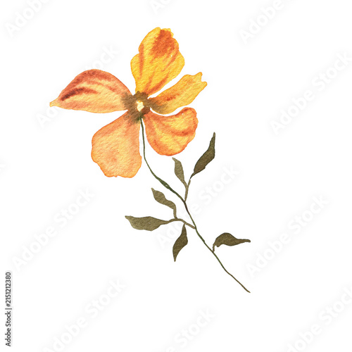 Watercolor Painting of a Single Orange Flower