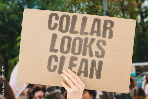Quadro su tela "Collar looks clean" The pet's neck band can hide dirt from the fur