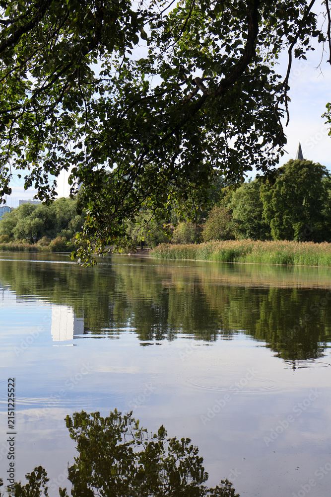 Obraz premium lake Coastal Inlet with Reflections and Lush Green Trees and reflection