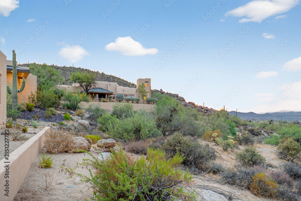 Fototapeta premium Desert hillside residence with cacti and clear blue sky