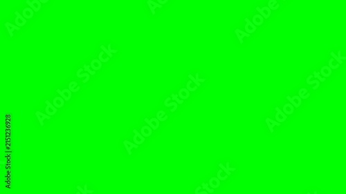 Abstract circular geometric pattern with light green dots on green background