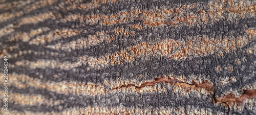 Konstfotografi close up of knitted fabric
Images can be used for background,wallpaper,banner,design, etc