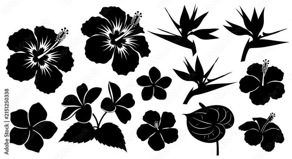 Obraz premium Collection of black silhouette tropical flowers with leaves white background bird paradise illustration hibiscus plumeria monstera elements with graphic