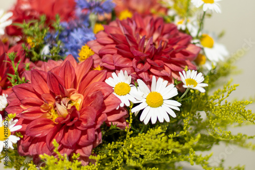 Red Dahlia and White Daisy Bouquet Close Up on a Soft Neutral Background