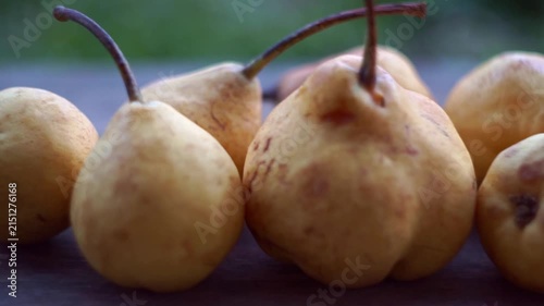 Extreme close up slow motion camera panning of ripe yellow wild pears on a rustic wooden table with a blurry garden background, horizontal video.