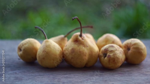 Slow motion camera panning of small yellow wild pears in a row on a rustic wooden table with a blurred green garden background, horizontal video.
