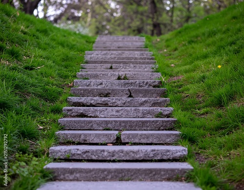 Ancient stone pyramid in lush green forest setting.