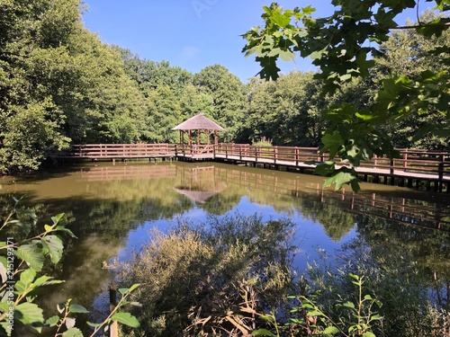 Wooden Gazebo and Pier Bridge Over Pond in Forest Park