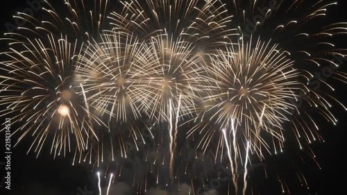 Spectacular Multicolored Fireworks Display Illuminating Dark Night Sky