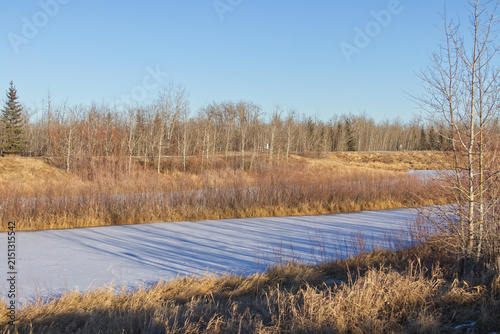 Pylypow Wetlands in the Early Winter