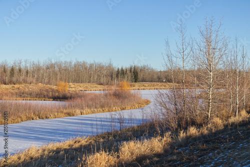 Pylypow Wetlands in the Early Winter