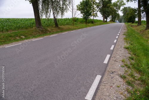Close-up of asphalt country road shoulder with white dashed line marking