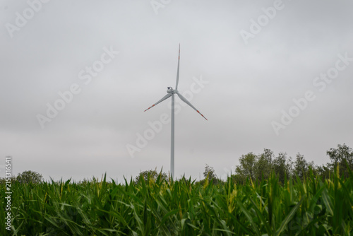 Wind turbine standing in green corn field against overcast sky generating renewable energy