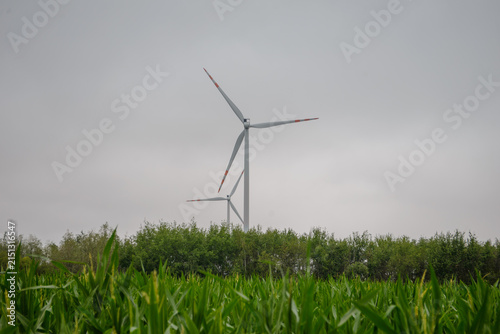 Wind turbine standing in green corn field against overcast sky generating renewable energy