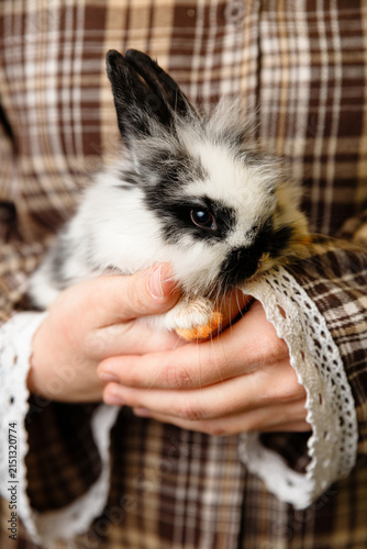 Child hands holding a cute fluffy black and white baby rabbit against brown plaid shirt with lace cuffs creating cozy farm and pet care concept in soft light