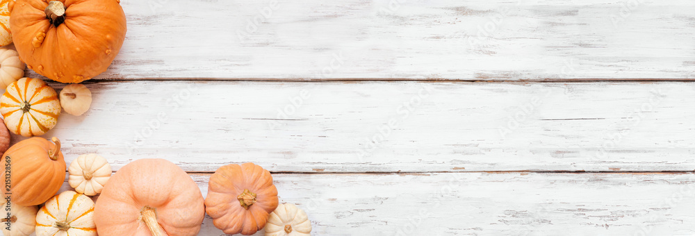 Obraz premium Autumn corner border of a variety of pumpkins over a white wood banner background. Above view with copy space.