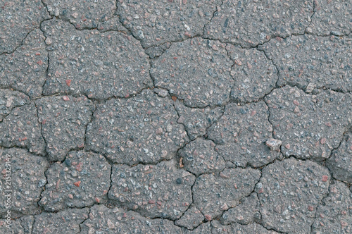 Cracked Asphalt Pavement Texture with Alligator Cracking Pattern