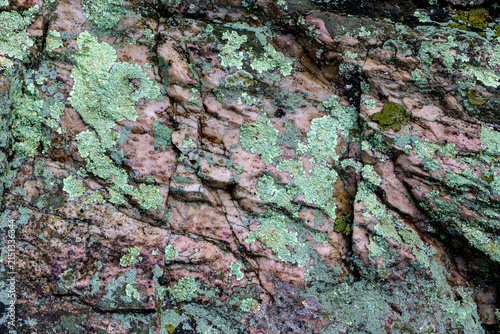 Erwin quartzite boulder with various species of lichen, in Blue Ridge Mountains of central Virginia