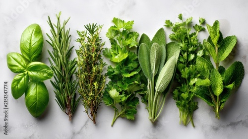Assortment of fresh green culinary herbs in neat rows on a light colored marble background.