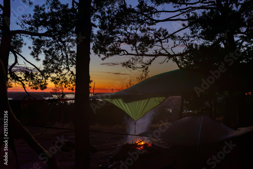 Hammock tents camping under pine trees with campfire and distant archipelago view during Nordic blue hour twilight