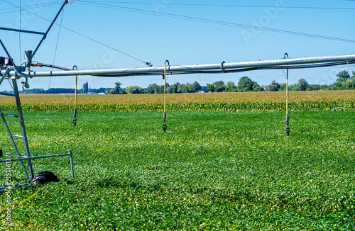 Konstfotografi Center pivot irrigation system in a green soybean field on a sunny summer day