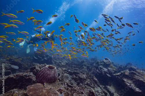 Scuba diving in beautiful coral reef of Andaman Islands with schools of fish surrounding the divers.