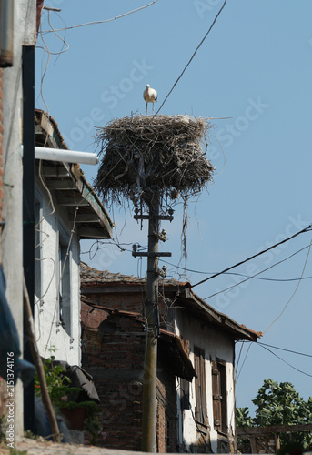A stork's nest on an electricity pole in a street in the city.