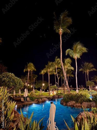 Tropical resort at night: illuminated pool, palm trees and starry sky — vertical