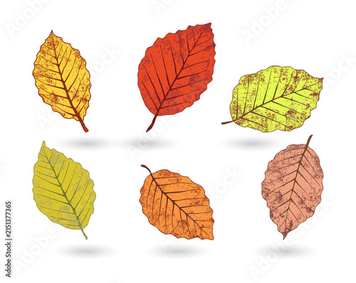 Foto Vibrant autumn leaves collection for seasonal design transparent background