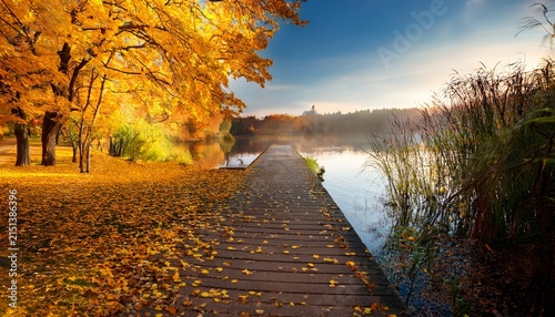 lake pathway with yellow leaves