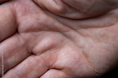 Obraz na płótnie Closeup view of human palm lines and skin texture