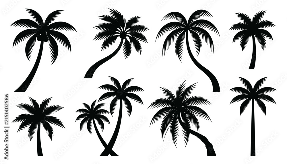 Fototapeta premium Hand Drawn Palm Tree Silhouette Collection with Tropical Coconut Trees for Beach, Summer, Vacation, Travel, Nature and Island Designs