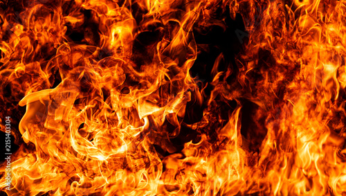 Foto Flame wraps orange flames