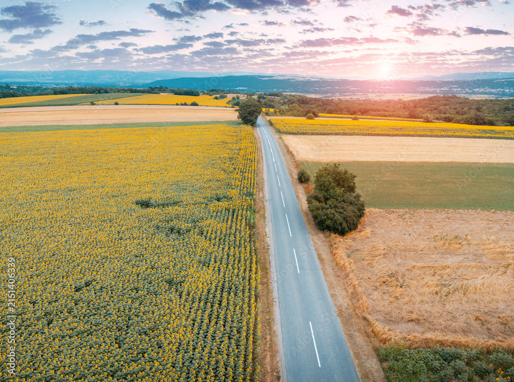 Obraz premium Aerial view of a straight asphalt country road passing between vast agricultural fields of yellow sunflowers during golden hour