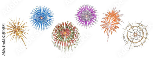 Collection of six colorful fireworks explosions showing various shapes and vibrant pyrotechnic effects for a festive celebration or holiday display