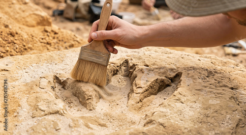 Brushing dust from a fossilized Tyrannosaur footprint. Close up of hand cleaning a dinosaur track in sandstone