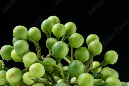 Pile of fresh green pea eggplant or turkey berries on black background.