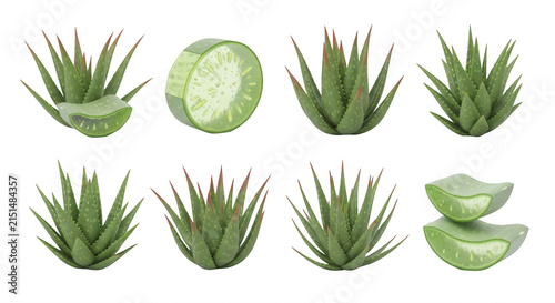 aloe vera plants and slices isolated on white background botanical detail cosmetic or healthcare visuals