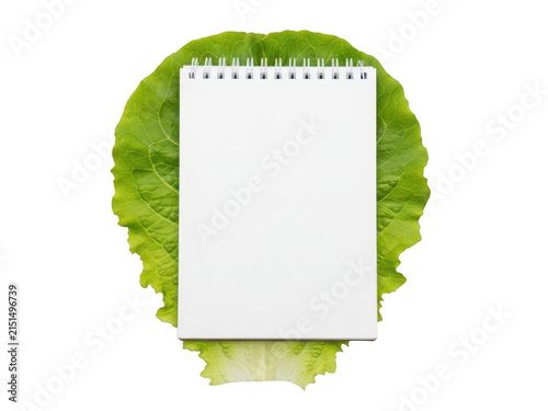 Creative person using a large green plant as a makeshift desk organizer