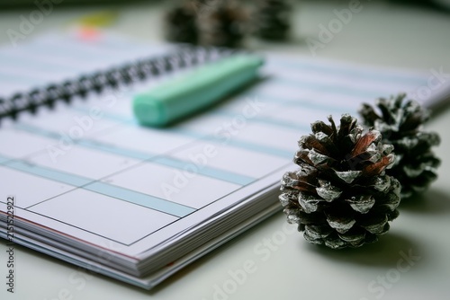 Wide editorial lifestyle composition: tidy home office desk with planner pages, paired with pinecones.
