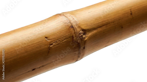 Single bamboo stem isolated on white background, macro shot of natural wood texture.