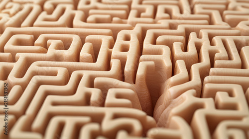 Labyrinth design representing complexity of thought and cognition in human brain