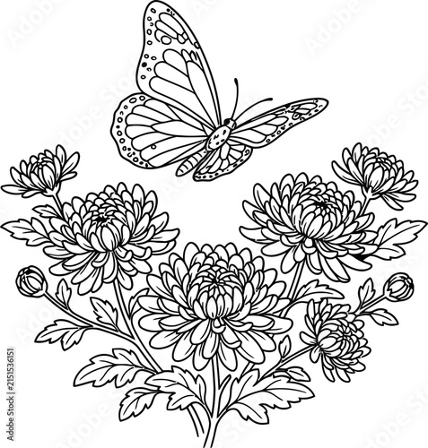 A detailed coloring page illustration featuring a beautiful butterfly hovering above a bouquet of blooming chrysanthemum flowers.