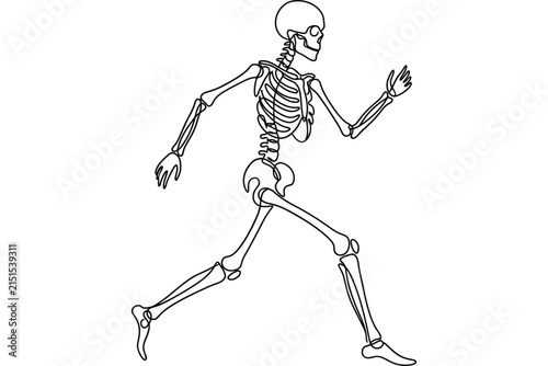 Continuous line drawing of a human skeleton running.