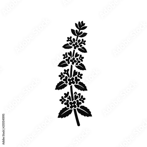 Black and white stylized illustration of a flowering mint plant stem