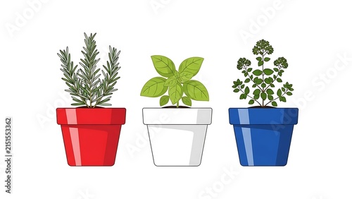 Herbs in colorful pots on white background.