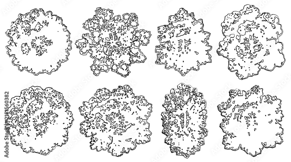 Fototapeta premium A professional top view cad plant set featuring various tree designs isolated on transparent background with a distinctive black and white silhouette