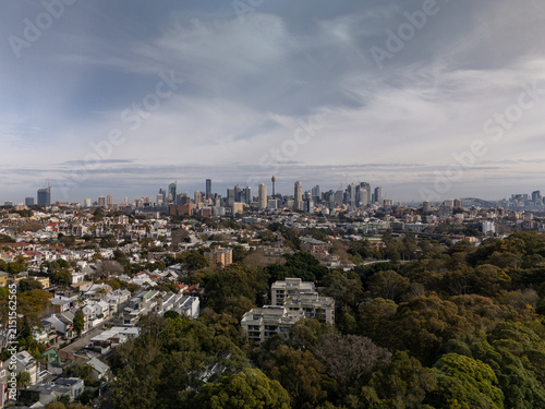 Paddington aerial view of Sydney CBD. Camera above trees to reveals city view.