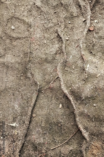 Abstract distressed muddy earth surface background