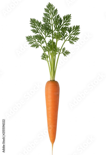 Isolated Carrot with Green Top Transparent Background